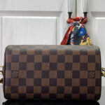 Louis Vuitton Speedy Bandouliere 20 N40489 Brown
